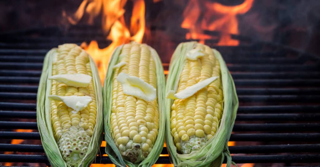 maïs grillé sur un feu de camp
