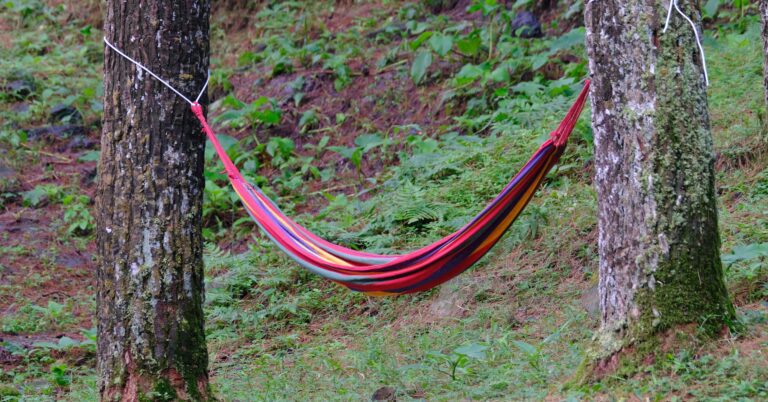 A vibrant striped hammock hanging between two trees in a lush, green outdoor setting.