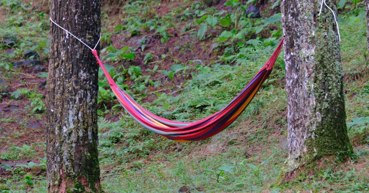 A vibrant striped hammock hanging between two trees in a lush, green outdoor setting.