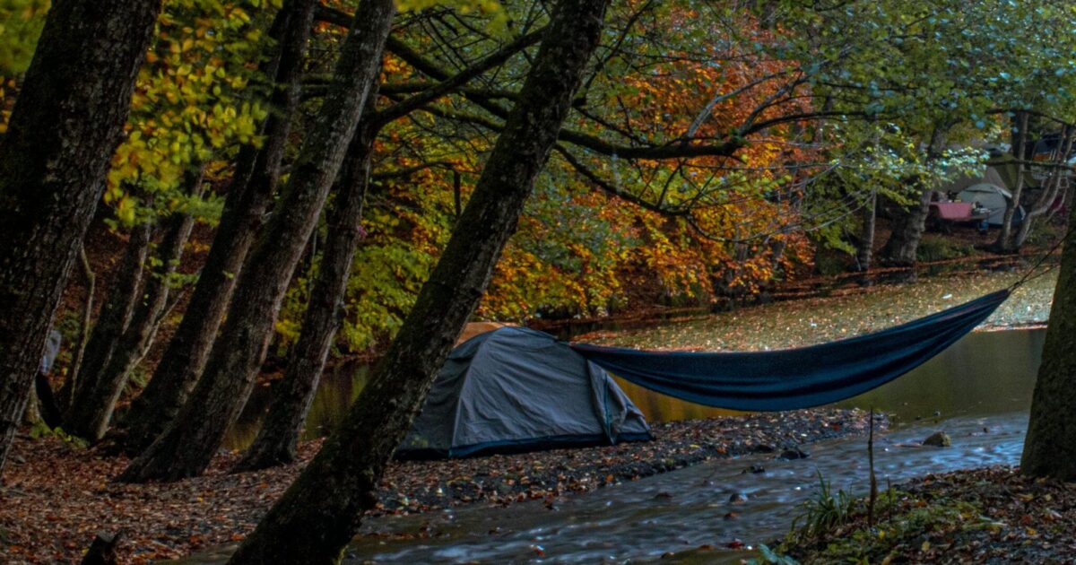 Tent and hammock beside a serene forest stream amidst fall foliage in Bolu, Türkiye.